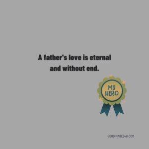 FATHER 12 60 plus father quotes images